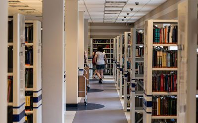 ddos在线攻击测试网站